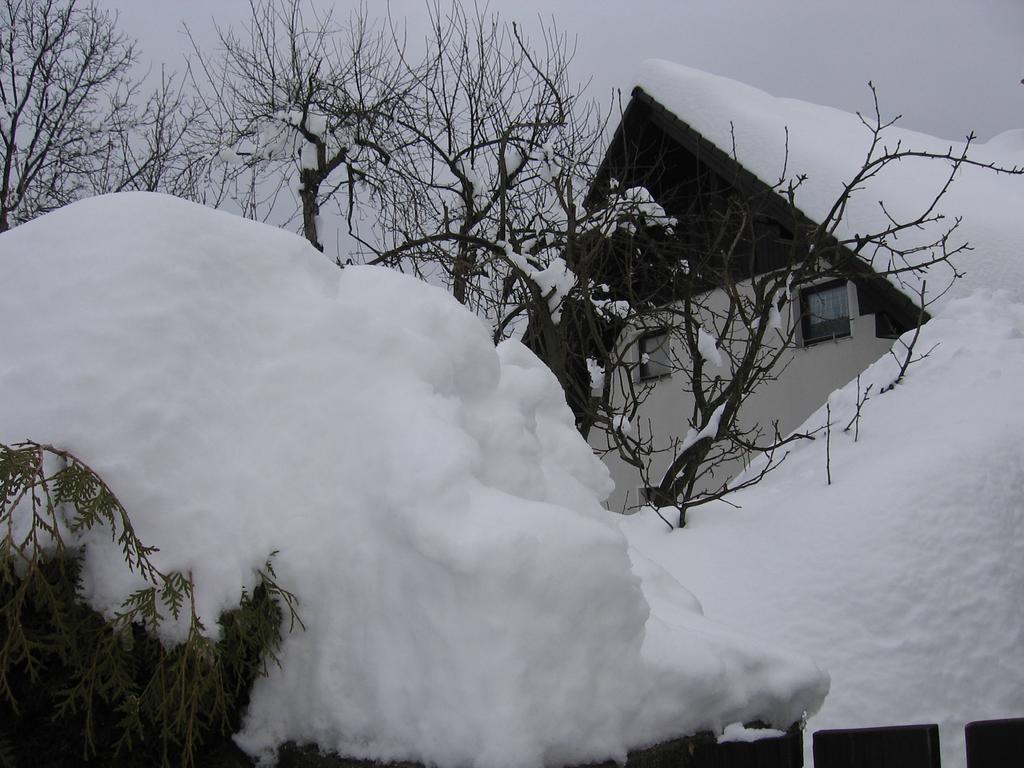 Nasa Hisa Apartamento Bohinj Quarto foto